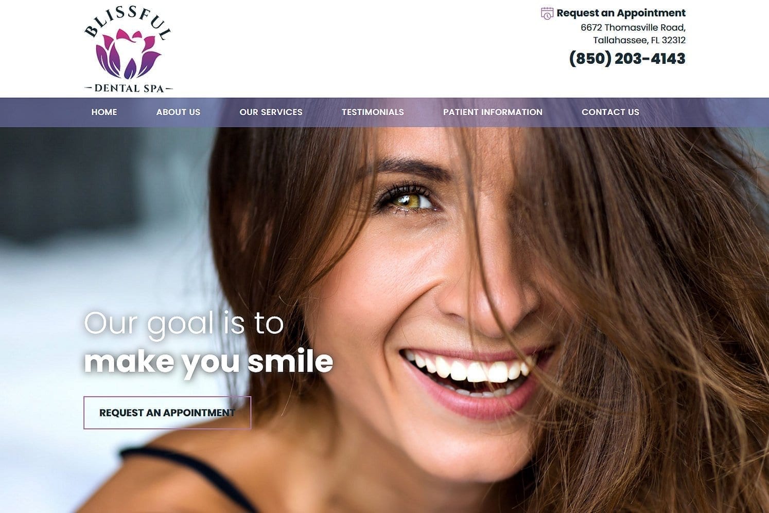 Greatdentalwebsites.com Portfolio1