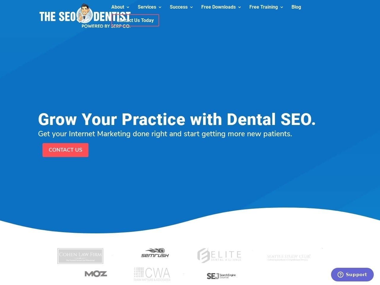 Theseodentist.com Screenshot
