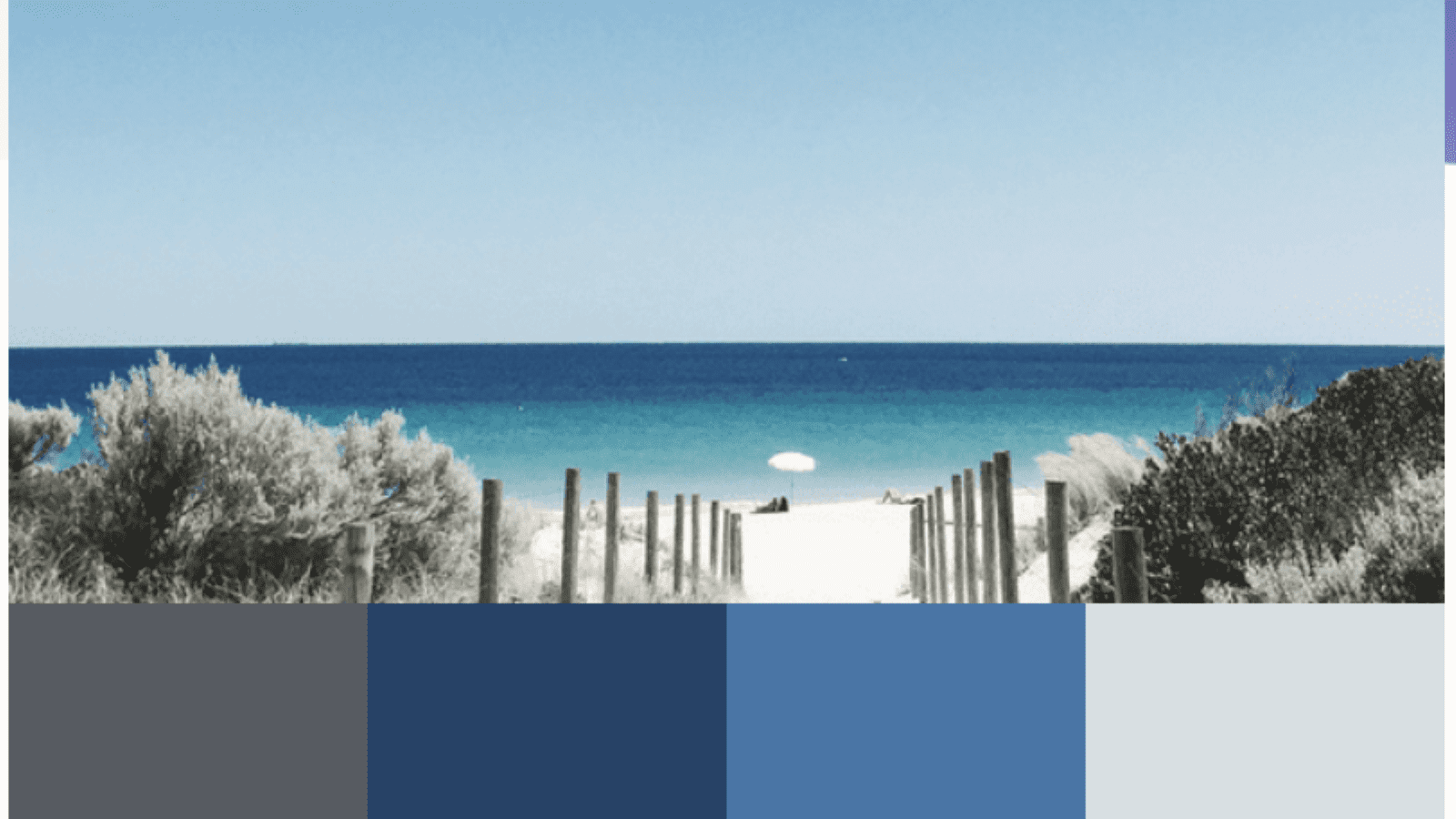 Sandy Beach Path Color Palette