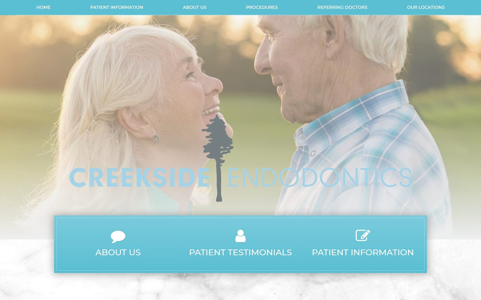 The Screenshot of Creekside Endodontics creeksideendo.net Website