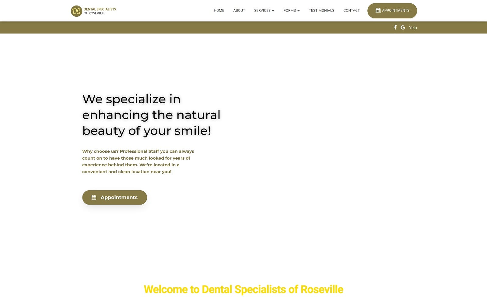 The Screenshot of Dental Specialists of Roseville dentalrosevillespecialists.com Website