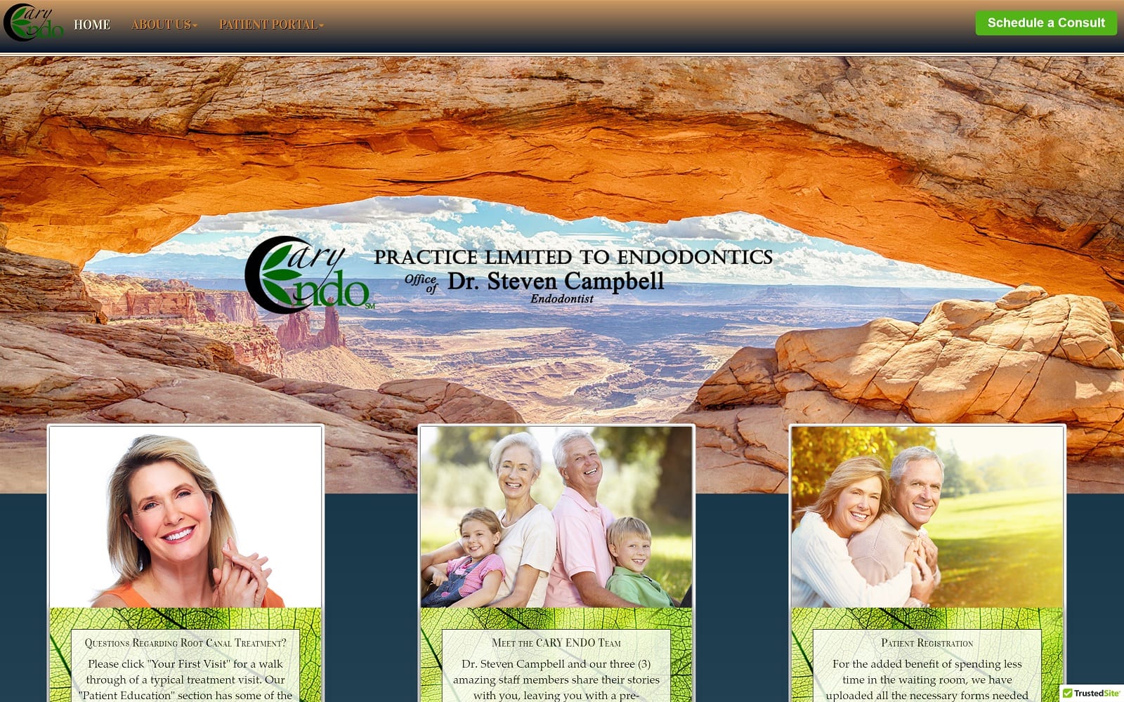 The Screenshot of Cary Endo - Dr. Steven Campbell caryendo.com Website