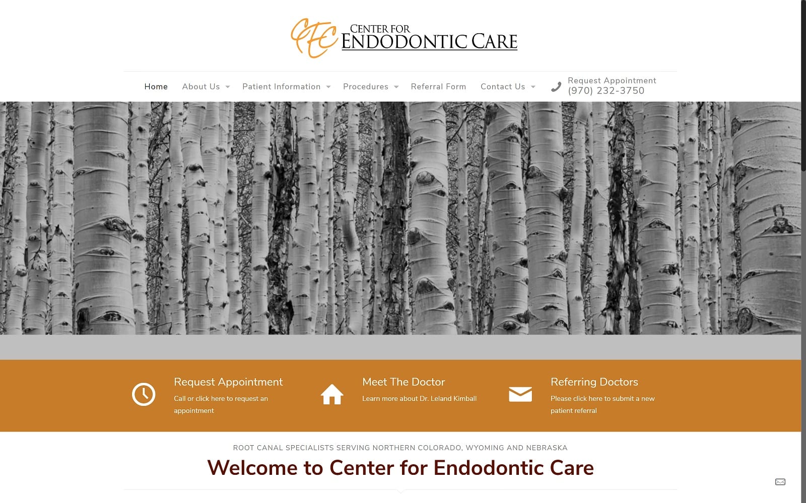 The Screenshot of Center For Endodontic Care: Leland B Kimball DDS centerforendocare.com Website