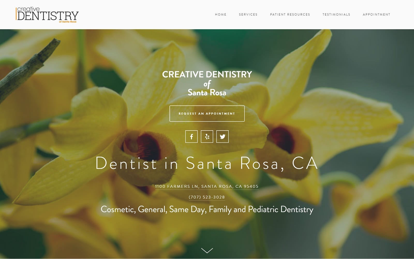 The Screenshot of Creative Dentistry creativedentistrysantarosa.com Website