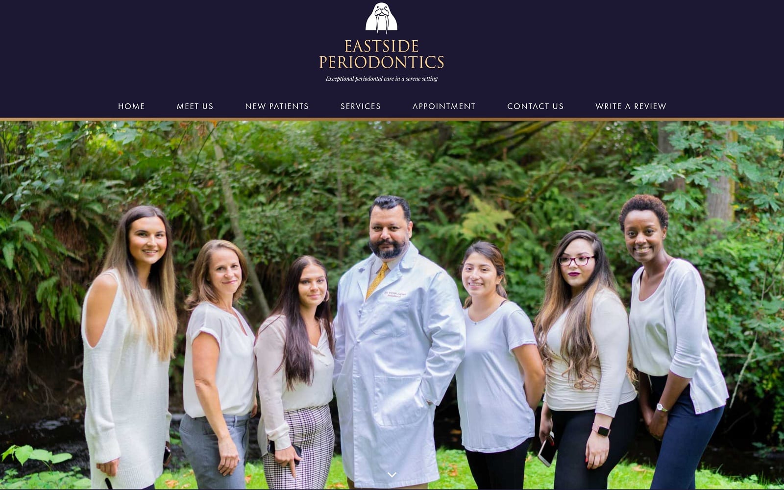 The Screenshot of Eastside Periodontics: Vikram Likhari BDS, MS gumdoctor.net Website