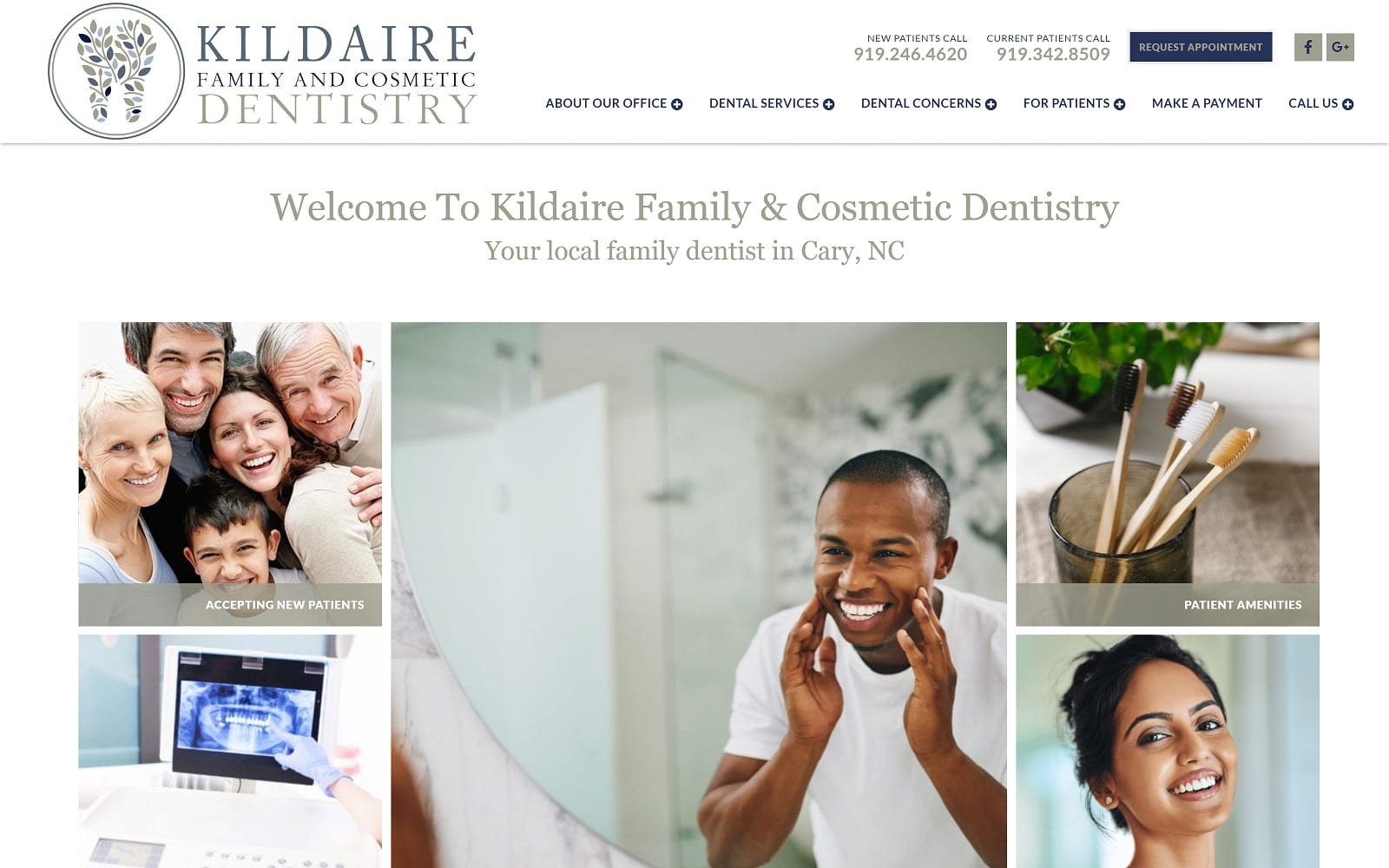 The Screenshot of Kildaire Family & Cosmetic Dentistry kildairefamilydental.com Dr. Elise Brace Website