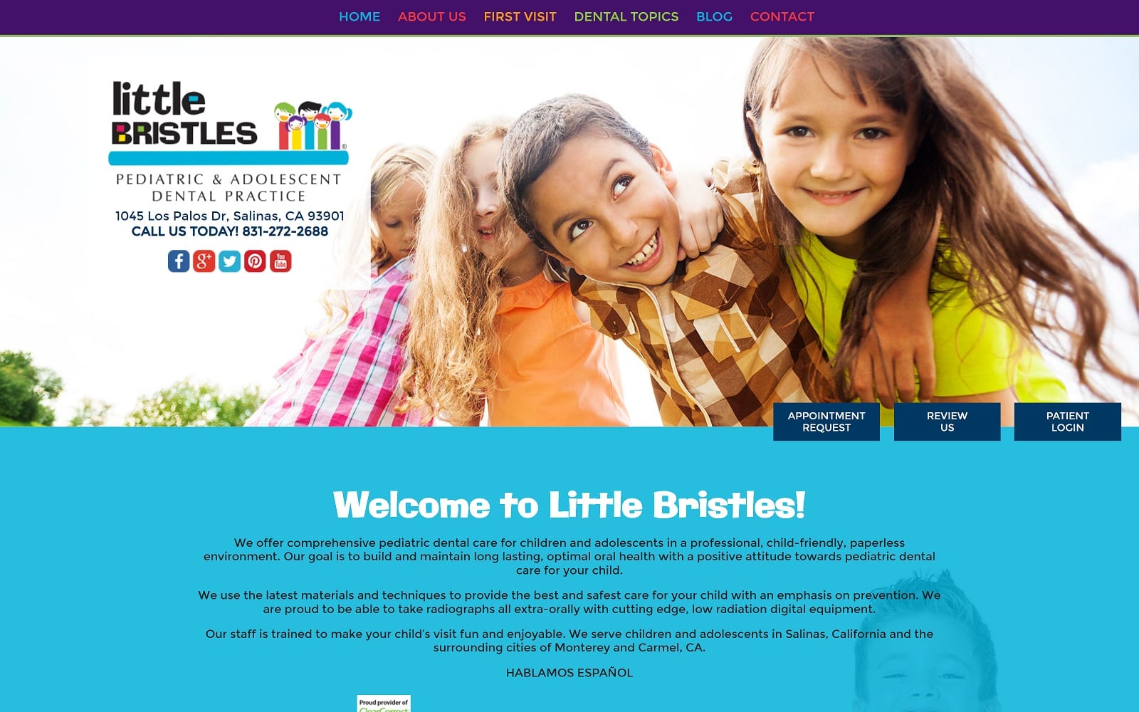 The Screenshot of Little Bristles littlebristlespediatricdentistry.com Website