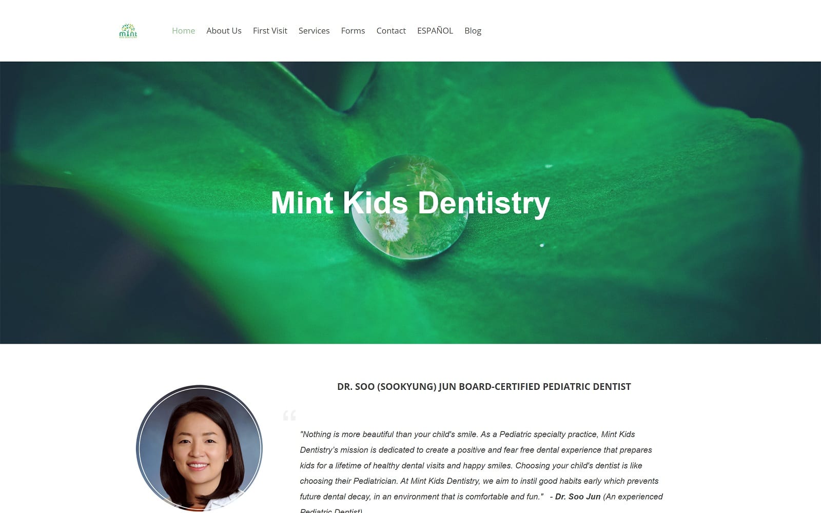 The Screenshot of Mint Kids Dentistry mintkidsdentistry.com Dr. Soo Jun Website