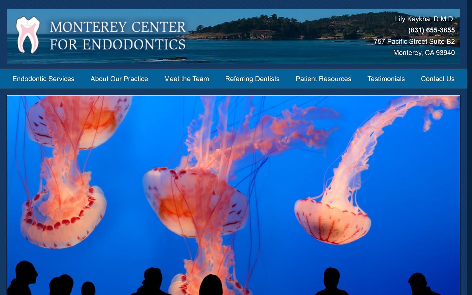 The Screenshot of Dr. Lily Kaykha, DMD montereycenterforendodontics.com Website