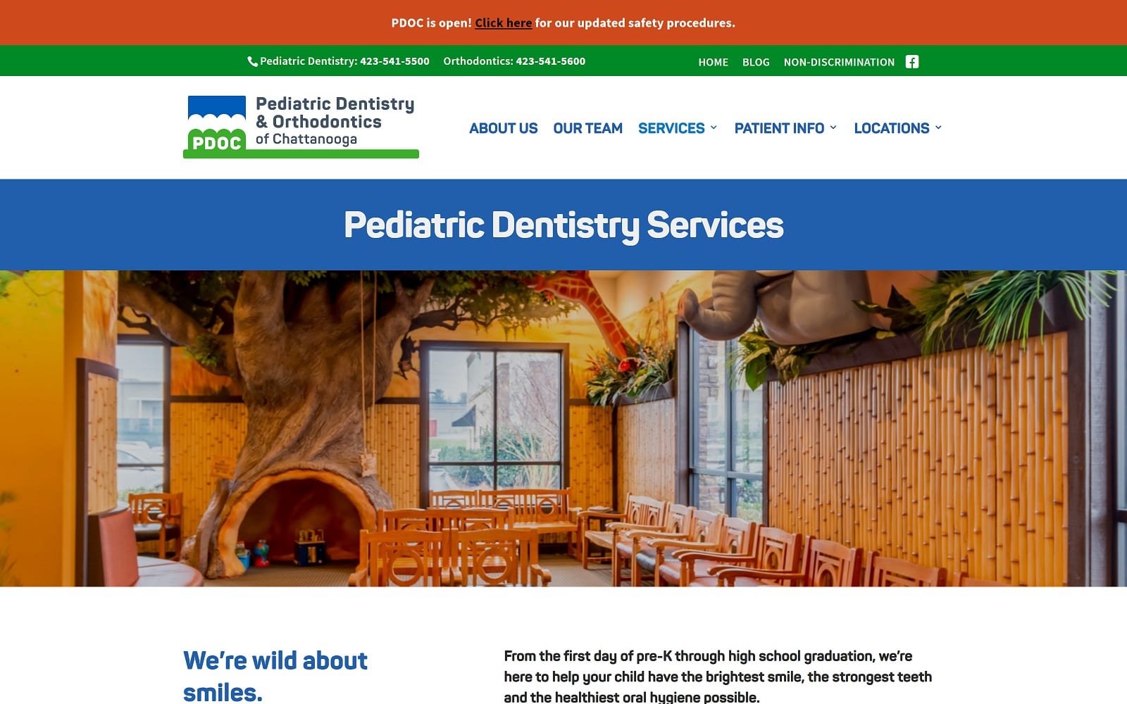 The Screenshot of Pediatric Dentistry & Orthodontics of Chattanooga pdoc.com Website