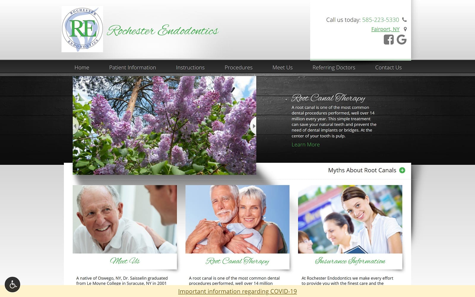 The Screenshot of Rochester Endodontics rochendony.com Dr. Kyle J. Saisselin Website