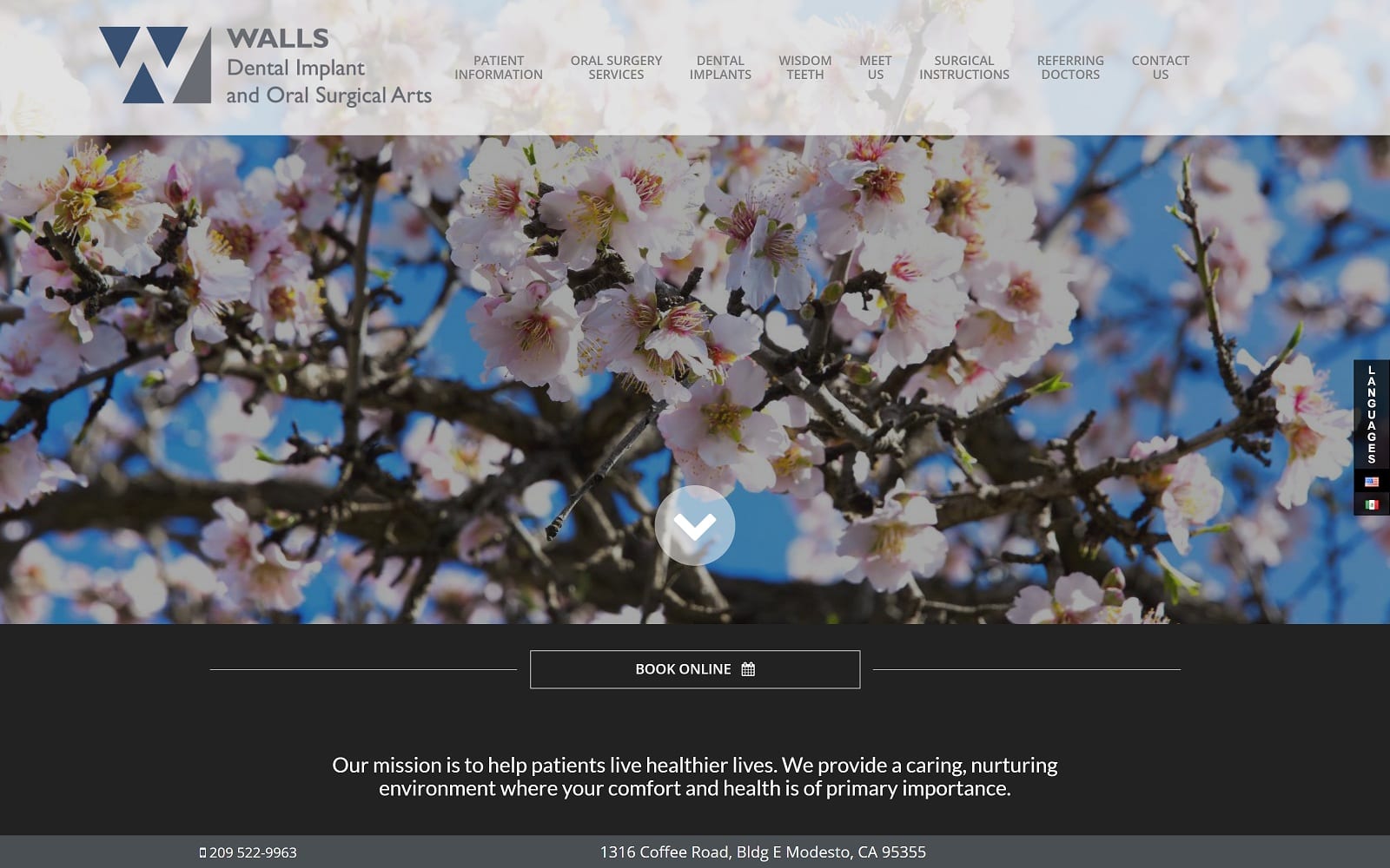 The Screenshot of Walls Dental Implant and Oral Surgical Arts wallsoralsurgerymodesto.com Website