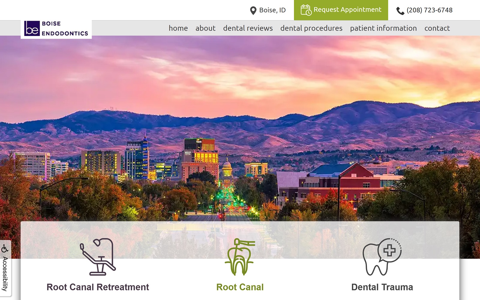 boiseendo.com screenshot