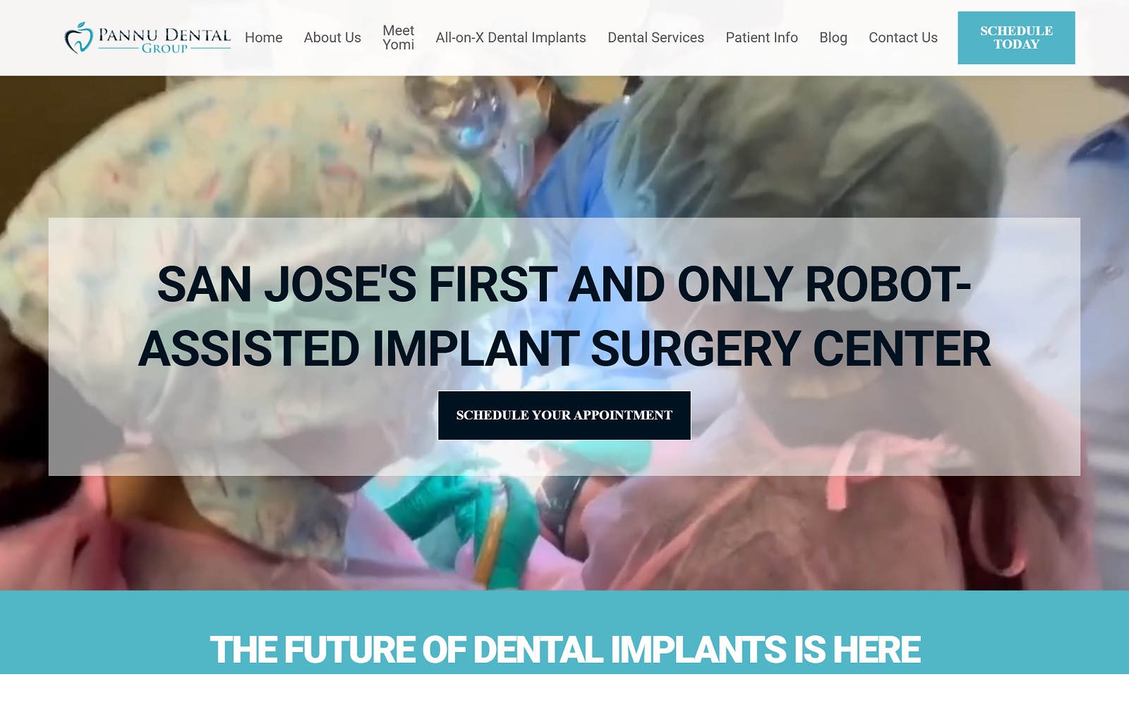 pannudental.com screenshot