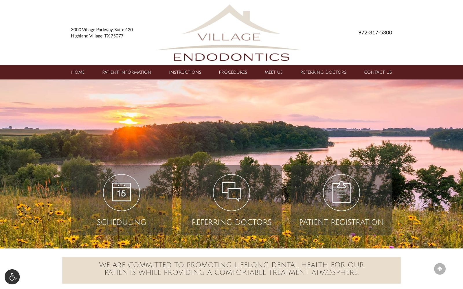 The Screenshot of Village Endodontics villageendodontics.com Website