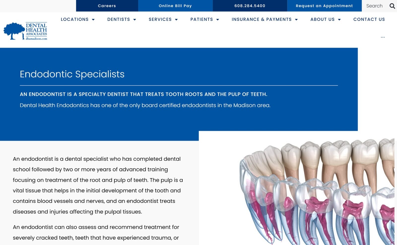 dhamadison.com_Endodontics screenshot