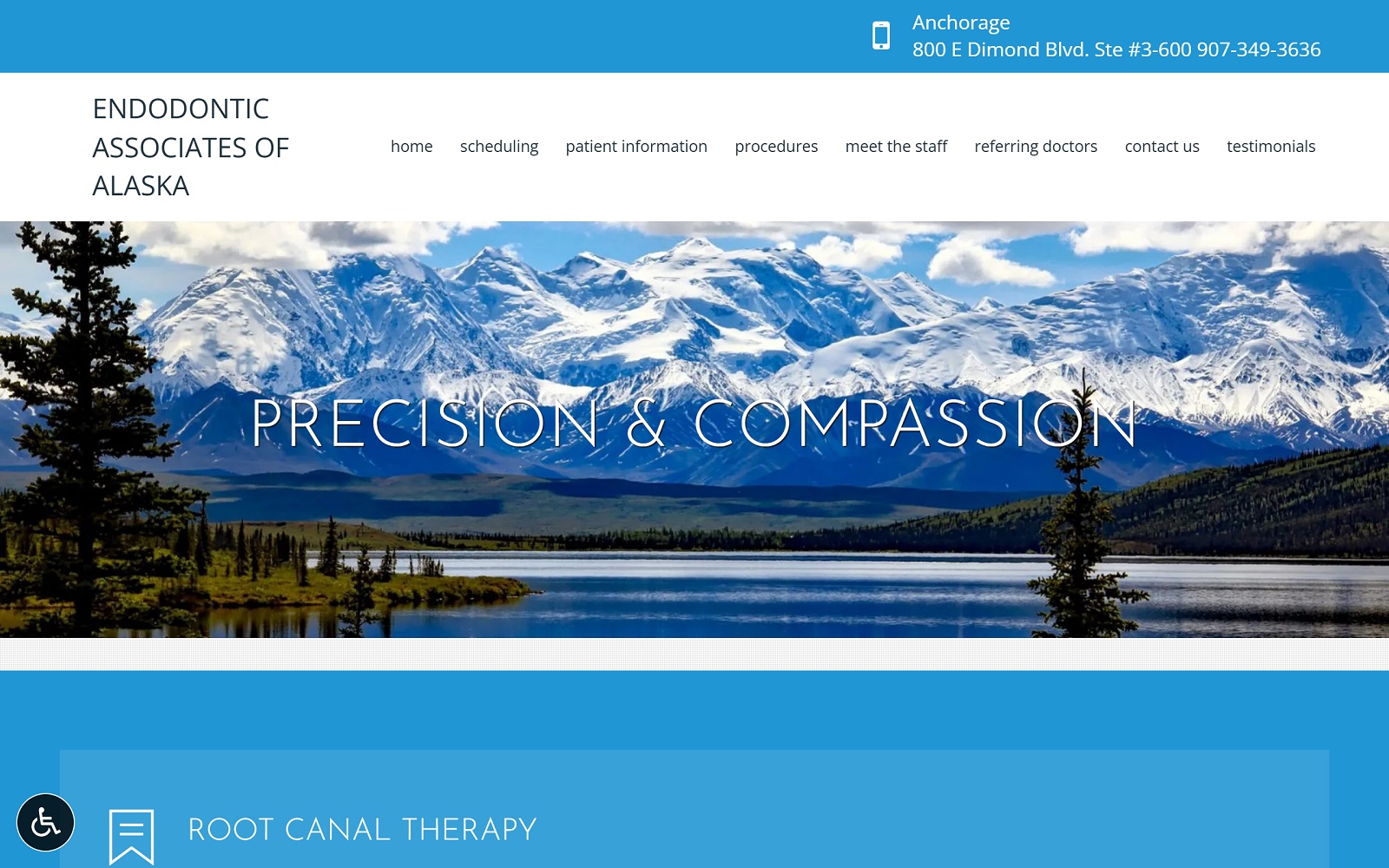 endoalaska.com screenshot