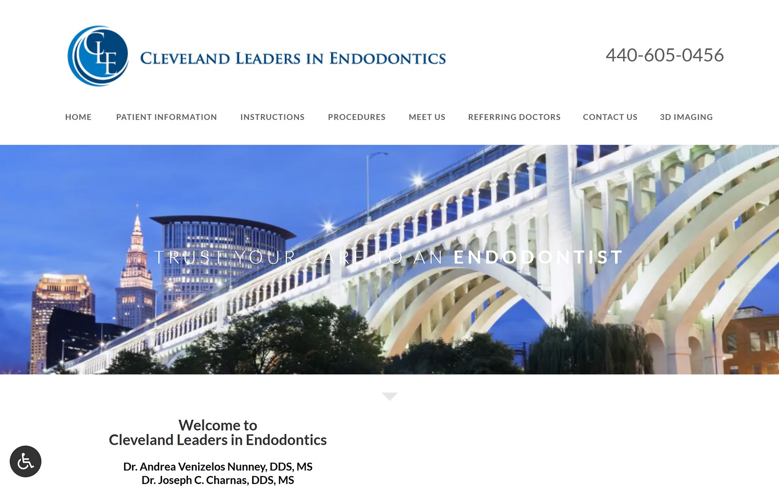 cleendo.com screenshot