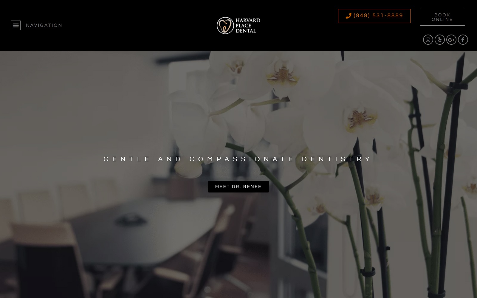 drreneedds.com screenshot