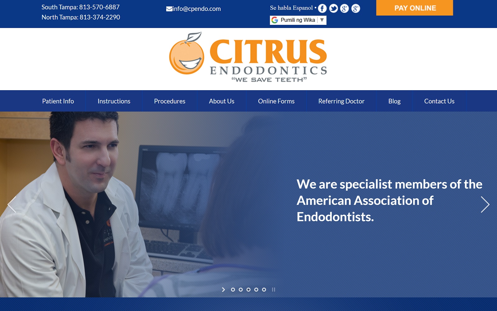 endodontisttampa.com screenshot