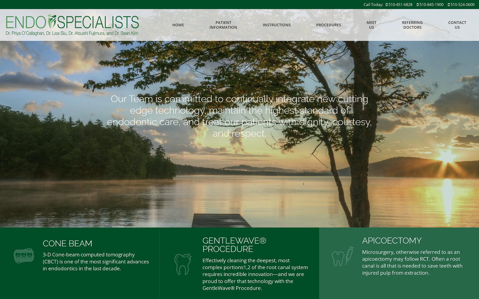 The Screenshot of EndoSpecialists Website Dr. Priya O’Callaghan Website