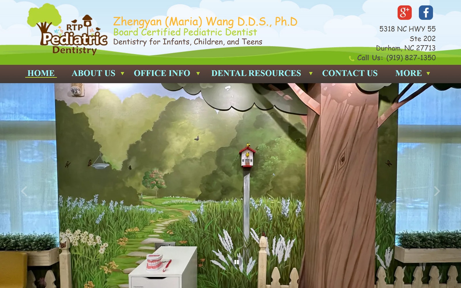 rtppediatricdentistry.com screenshot