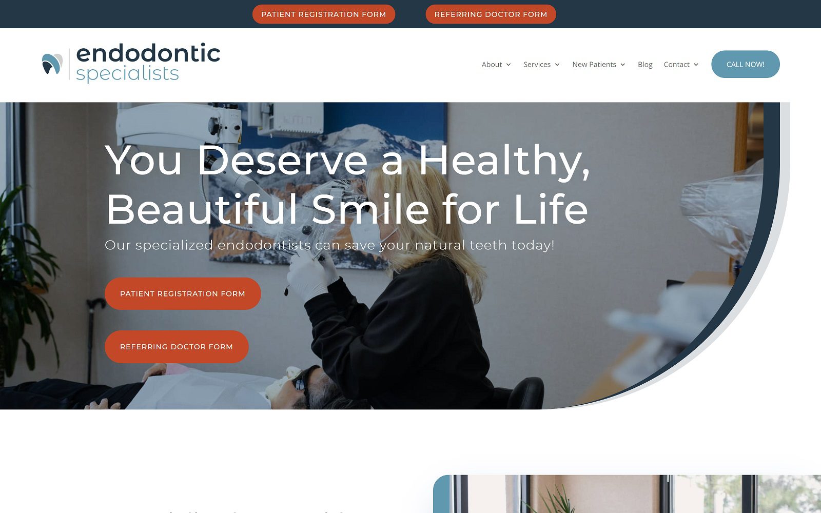 The Screenshot of Endodontic Specialists of Colorado, P.C. Website