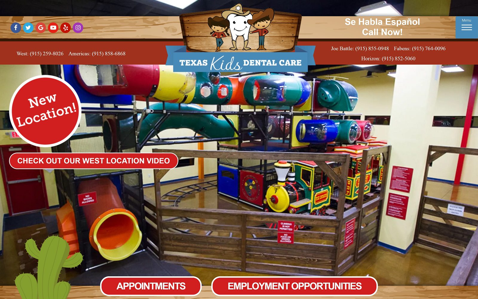 The Screenshot of Texas Kids Dental Care Website