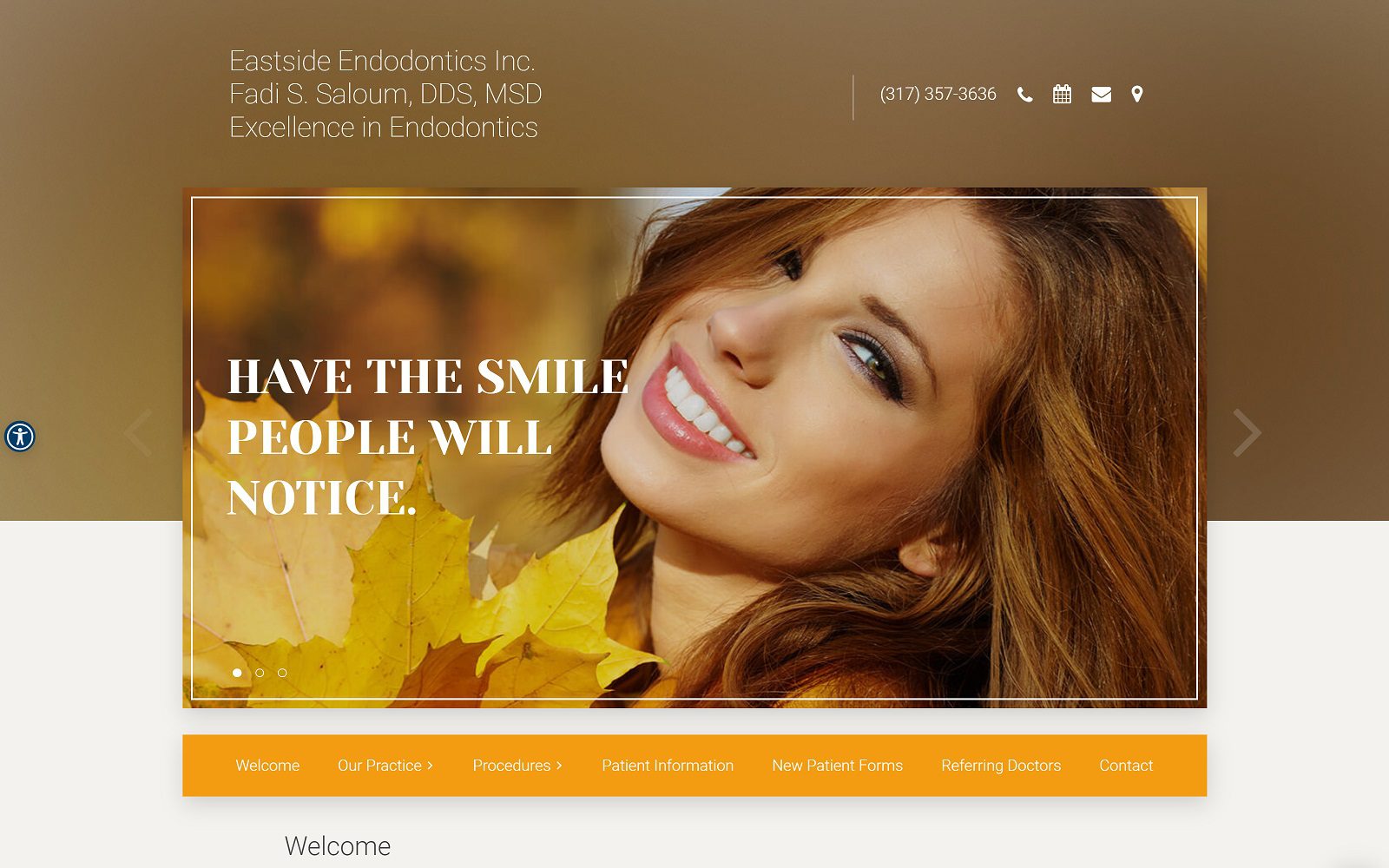 The Screenshot of Endodontics Inc Dr. Fadi S Saloum Website
