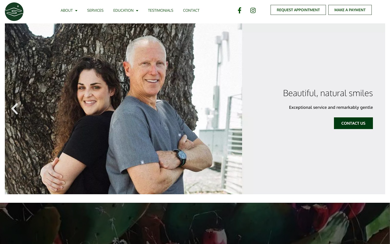 paynedentistry.com screenshot