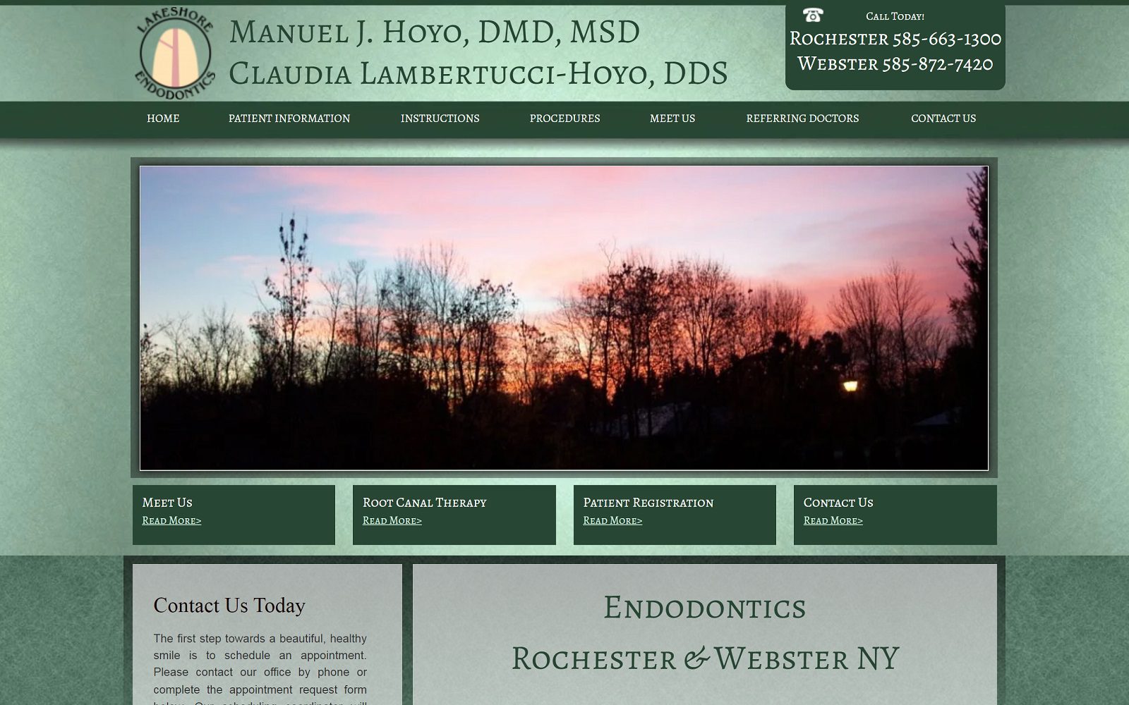 The Screenshot of Lakeshore Endodontics Website