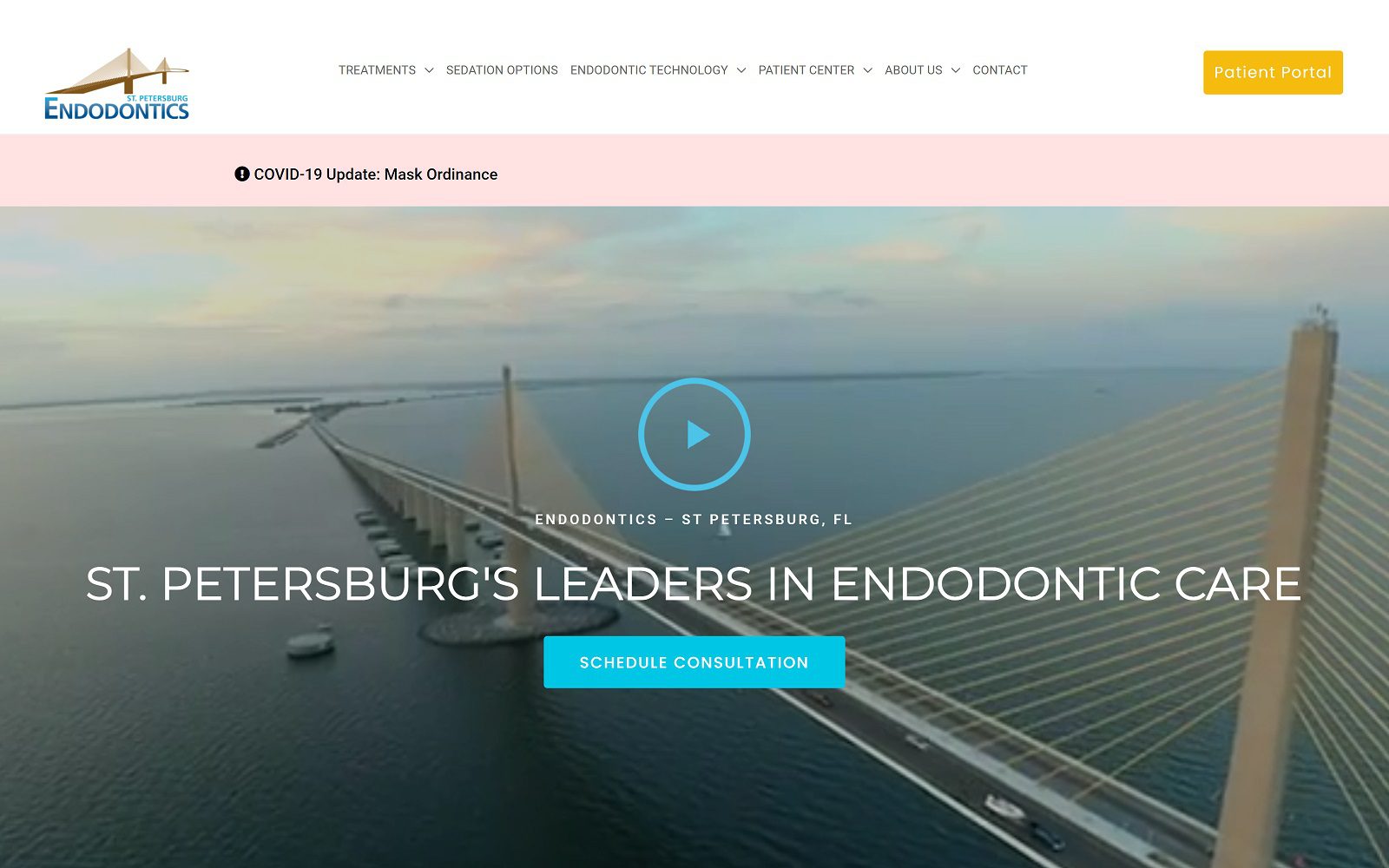 Website homepage screenshot of stpeteendo.com