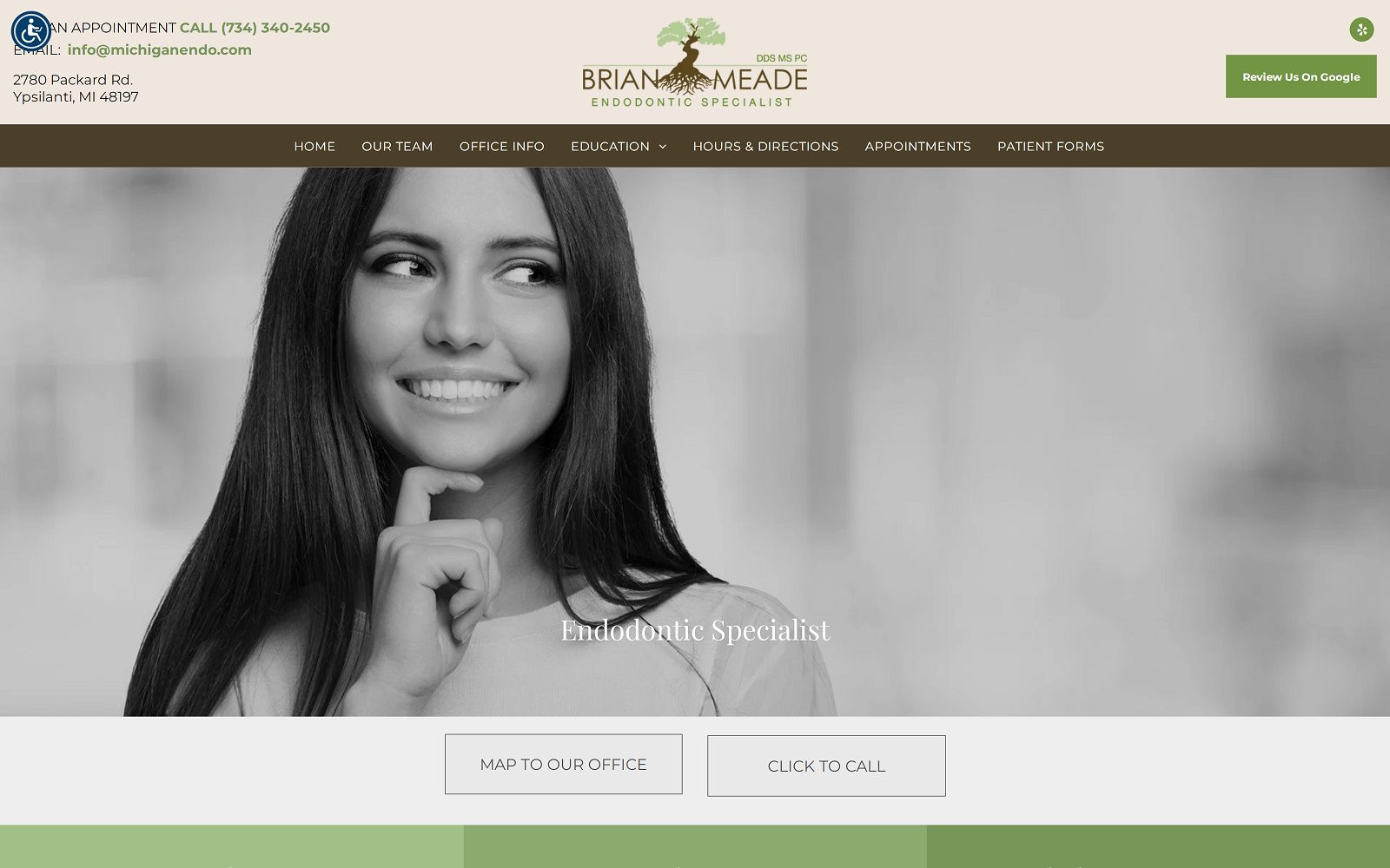 Website homepage screenshot of michiganendo.com