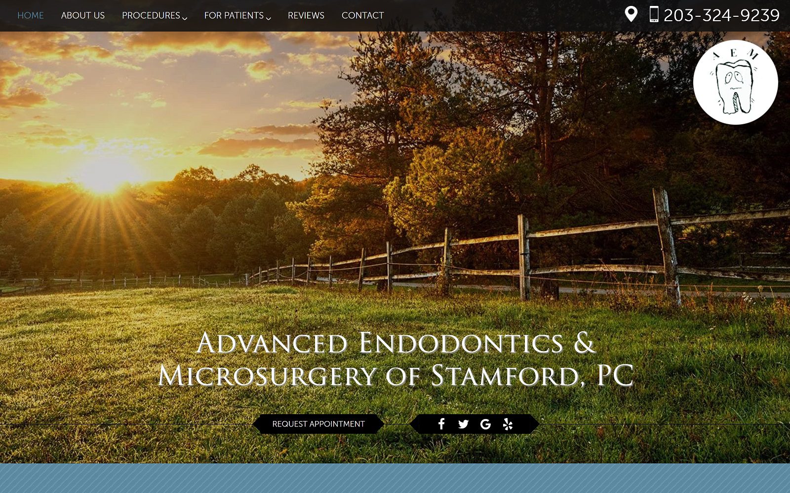 Website homepage screenshot of stamfordendo.com