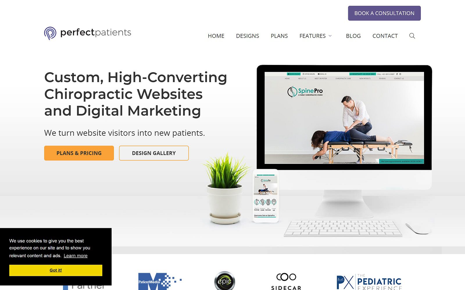 Perfect Patients