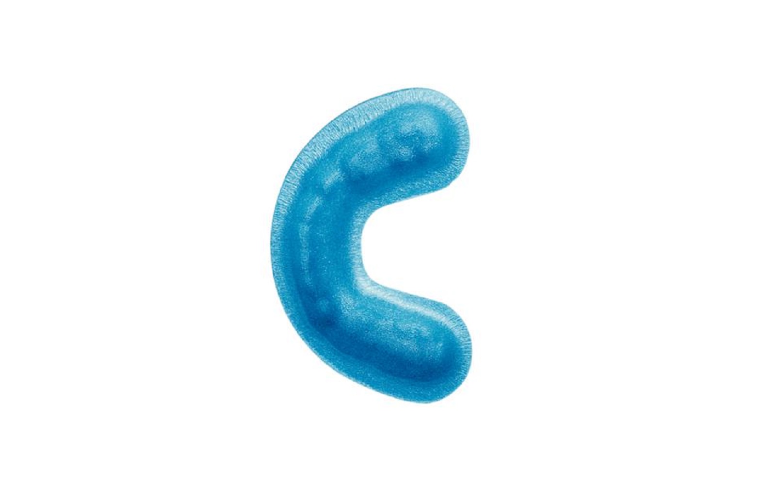 Oral-B® Centrays®, 100/Pkg - Young Dental Manufacturing