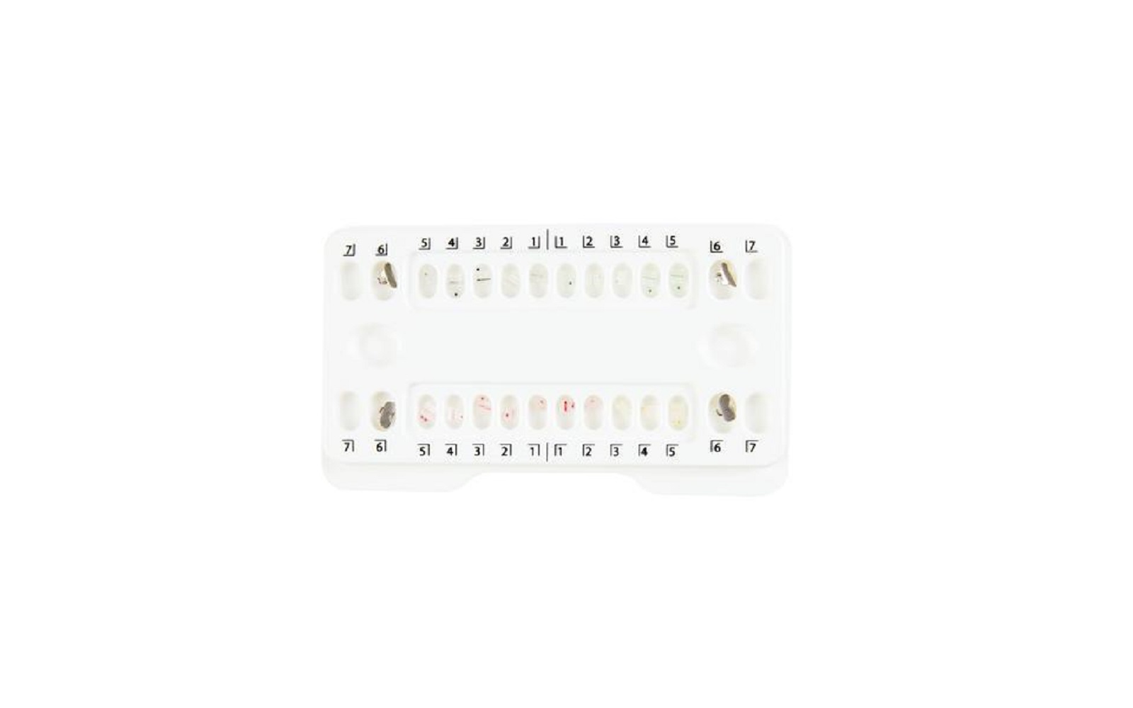 Patterson® A Roth Ceramic Twin Brackets 1 Patient Kits, .022 - Patterson Dental Supply