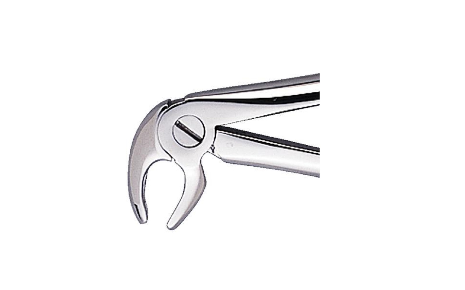 Patterson® Extracting Forceps – # FX13, Universal