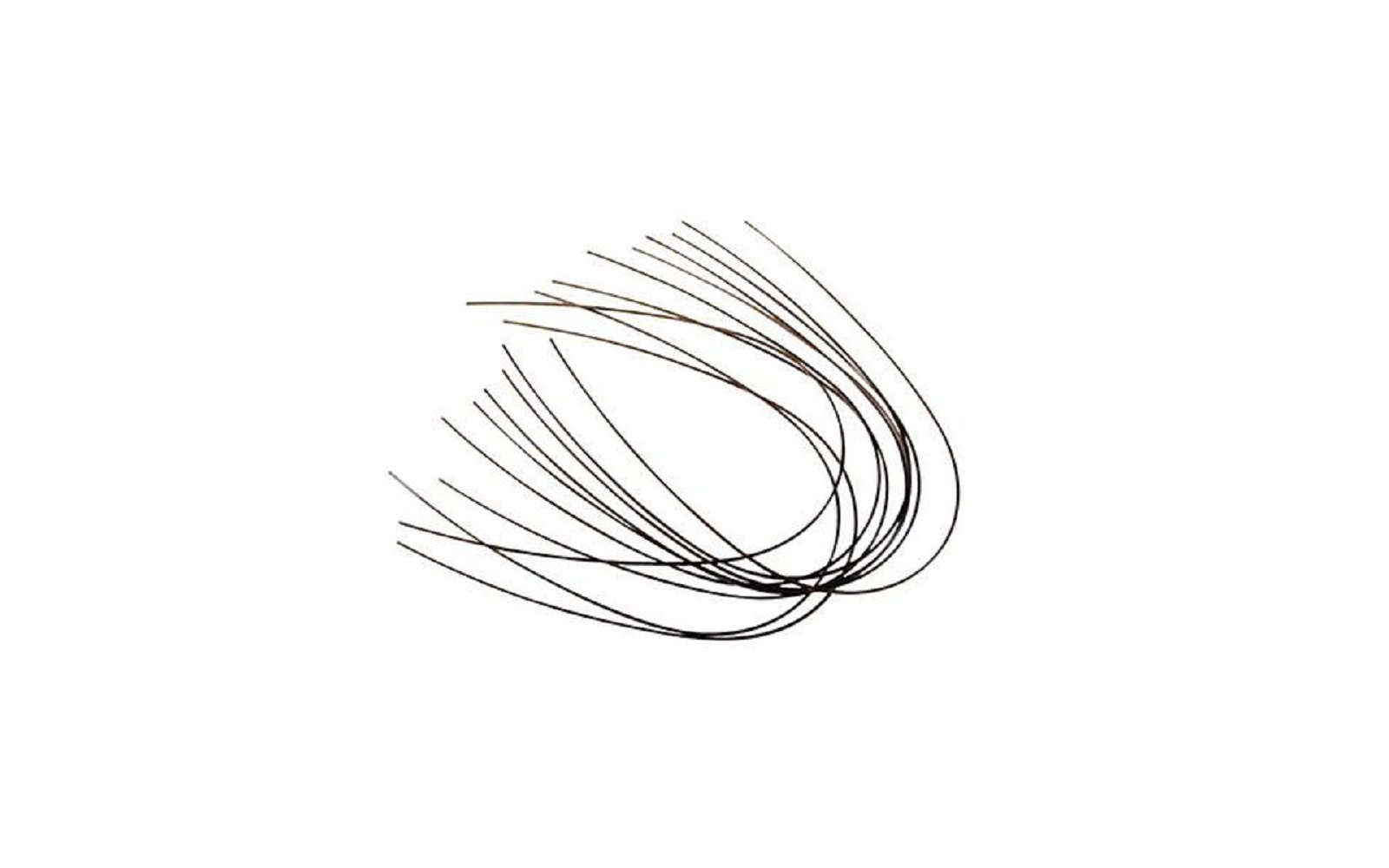 Patterson® Super Elastic Nickel Titanium Arch Wire – Round, 10/Pkg - Patterson Dental Supply