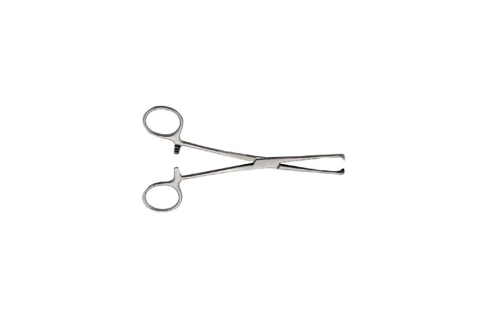 Tissue Forceps – 6" 5 x 6 Allis, Teeth