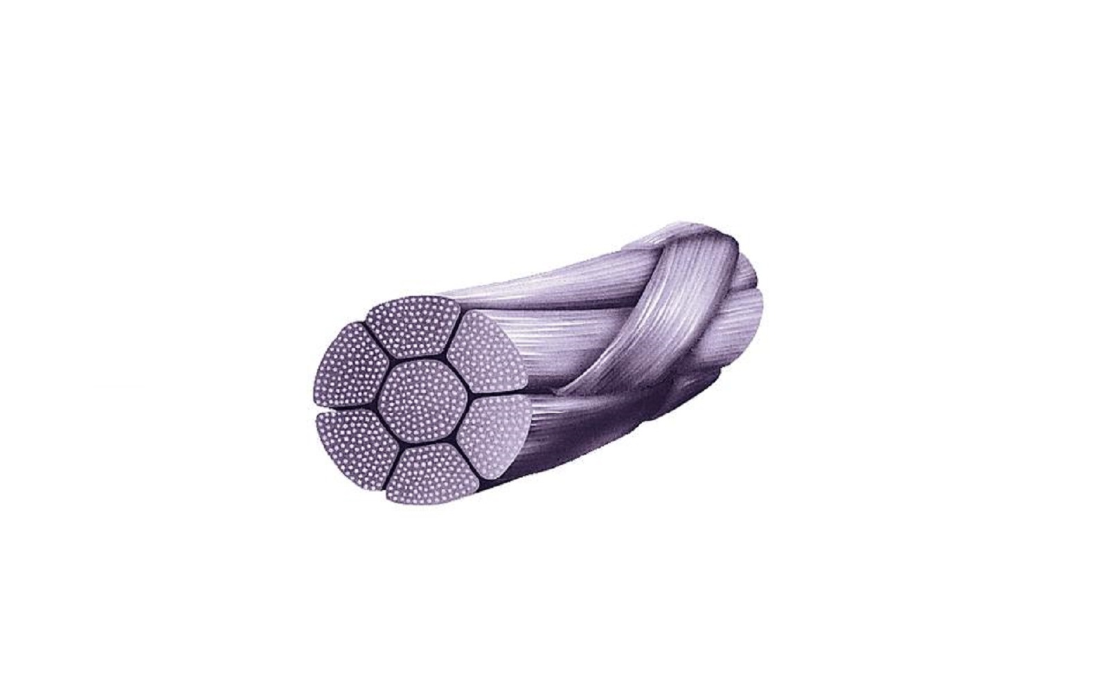 LOOK™ PolySyn™ Undyed Braided Sutures Absorbable – Reverse Cutting, 3/8 Circle, 12/Pkg - Surgical Specialties