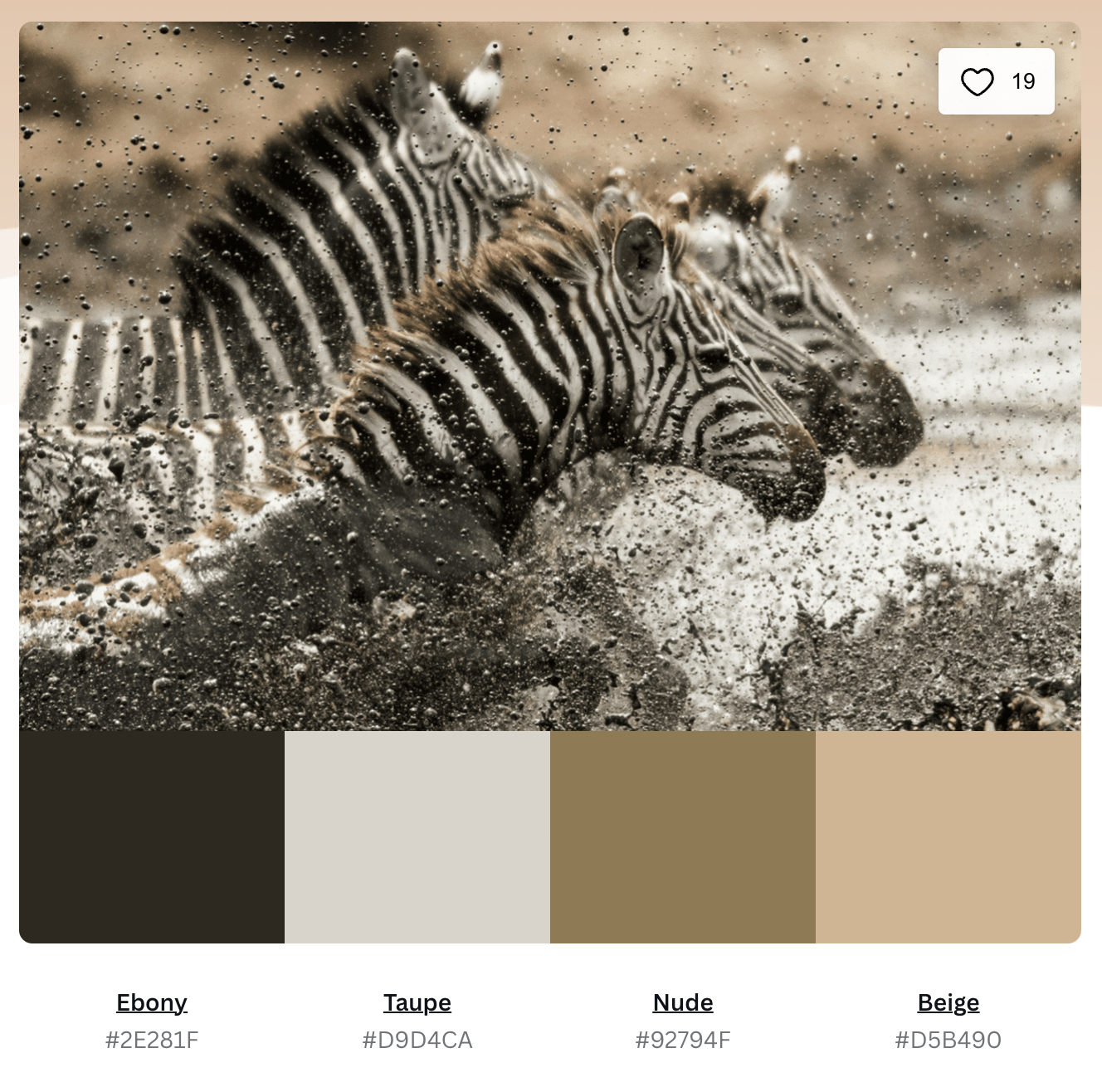Cheerful Sands warm neutral dental practice color scheme example