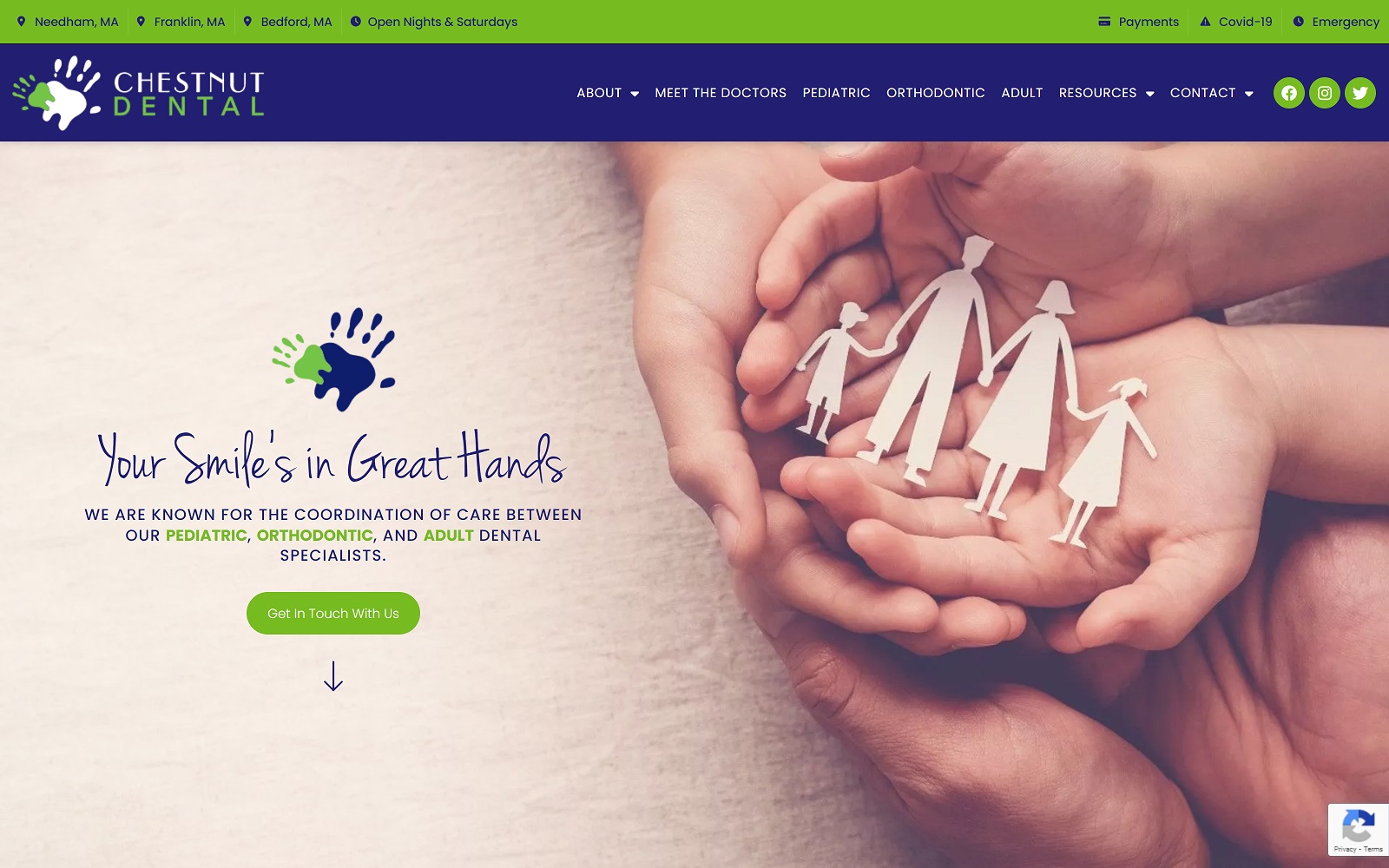 chestnutdental.com screenshot