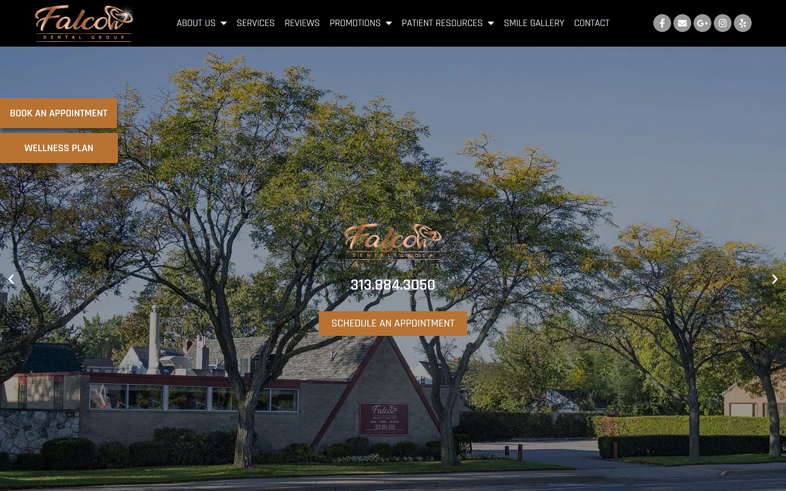 falcondentalgroup.com screenshot