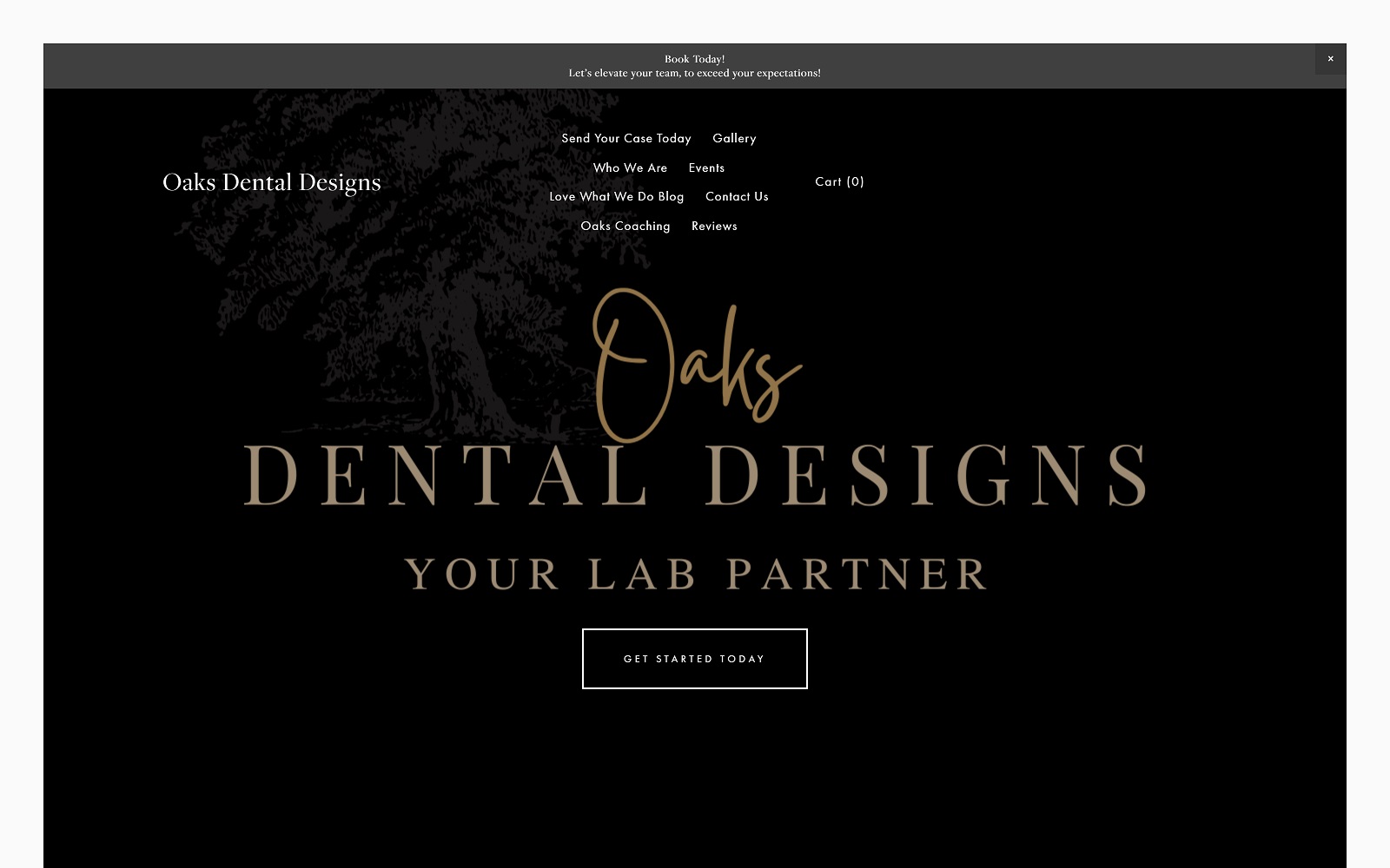 oaksdentaldesigns.com screenshot
