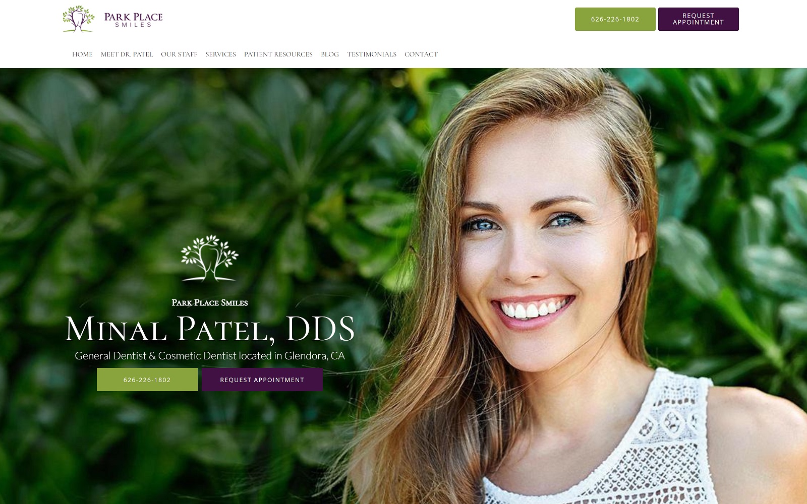 parkplacesmiles.com screenshot