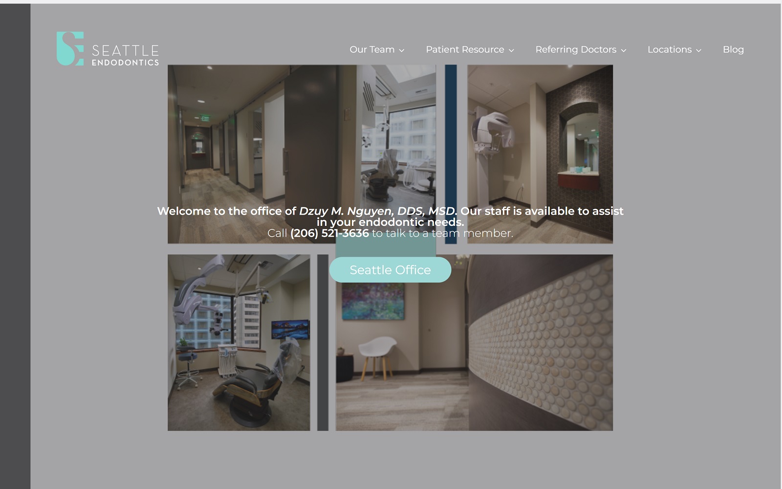 seattle-endo.com screenshot