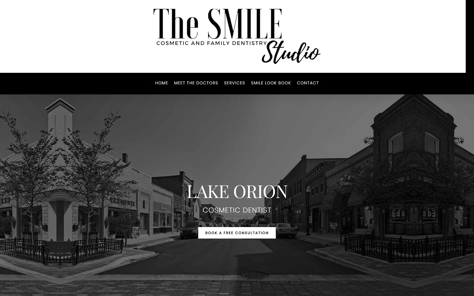 thedavidsonsmilestudio.com screenshot
