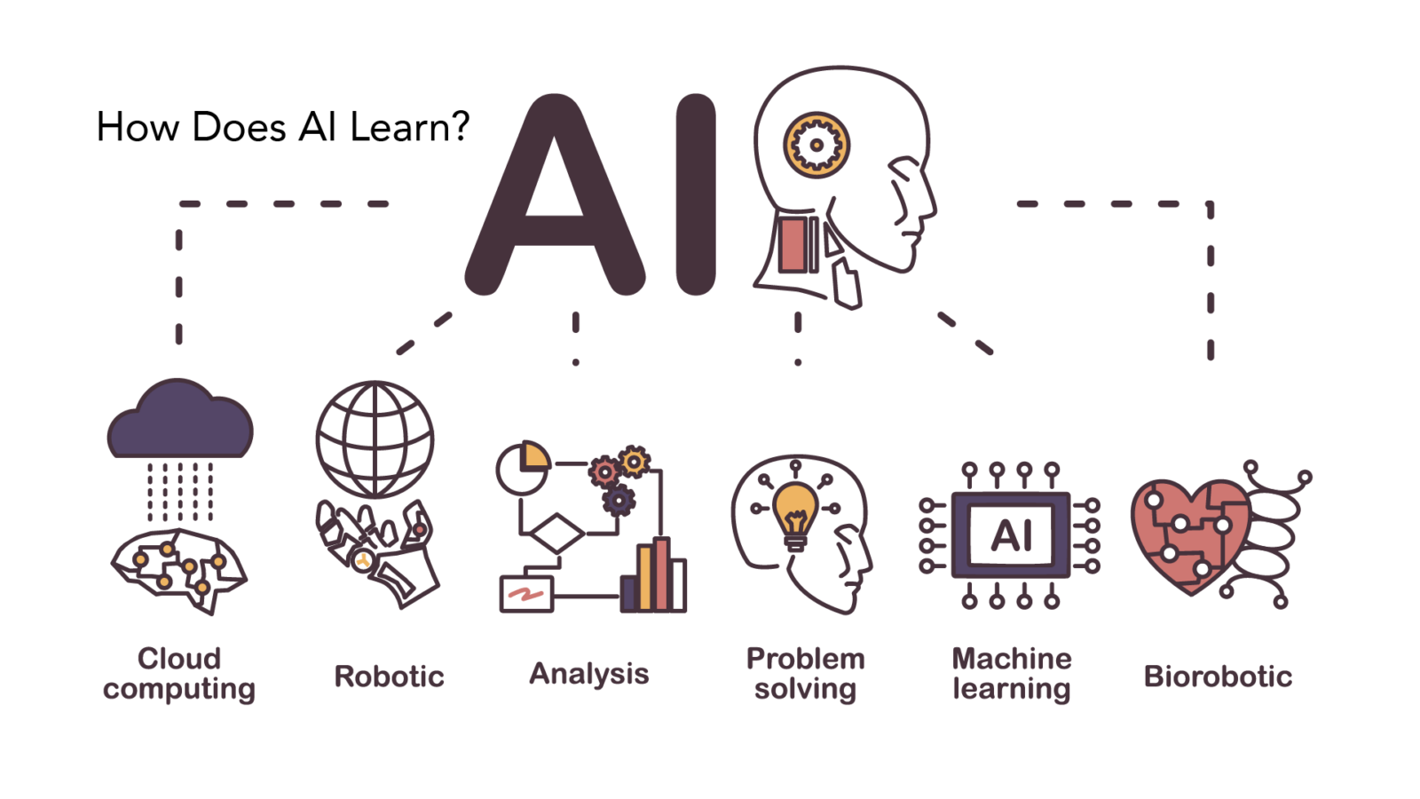 How Does AI Learn